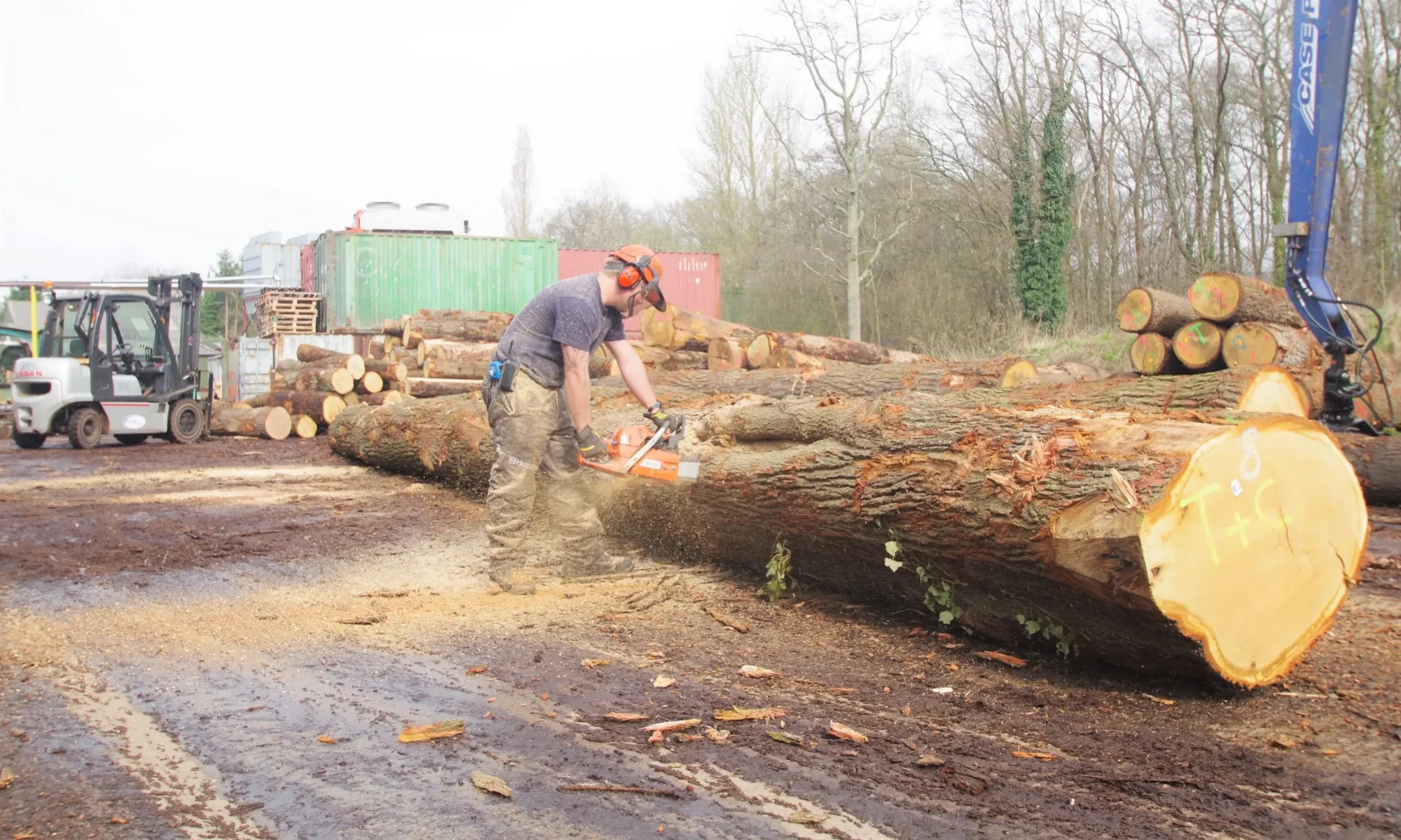 Offering the highest quality of all timber species